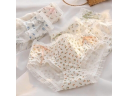 QUẦN THUN COTTON 579 - LỐC 5 CÁI